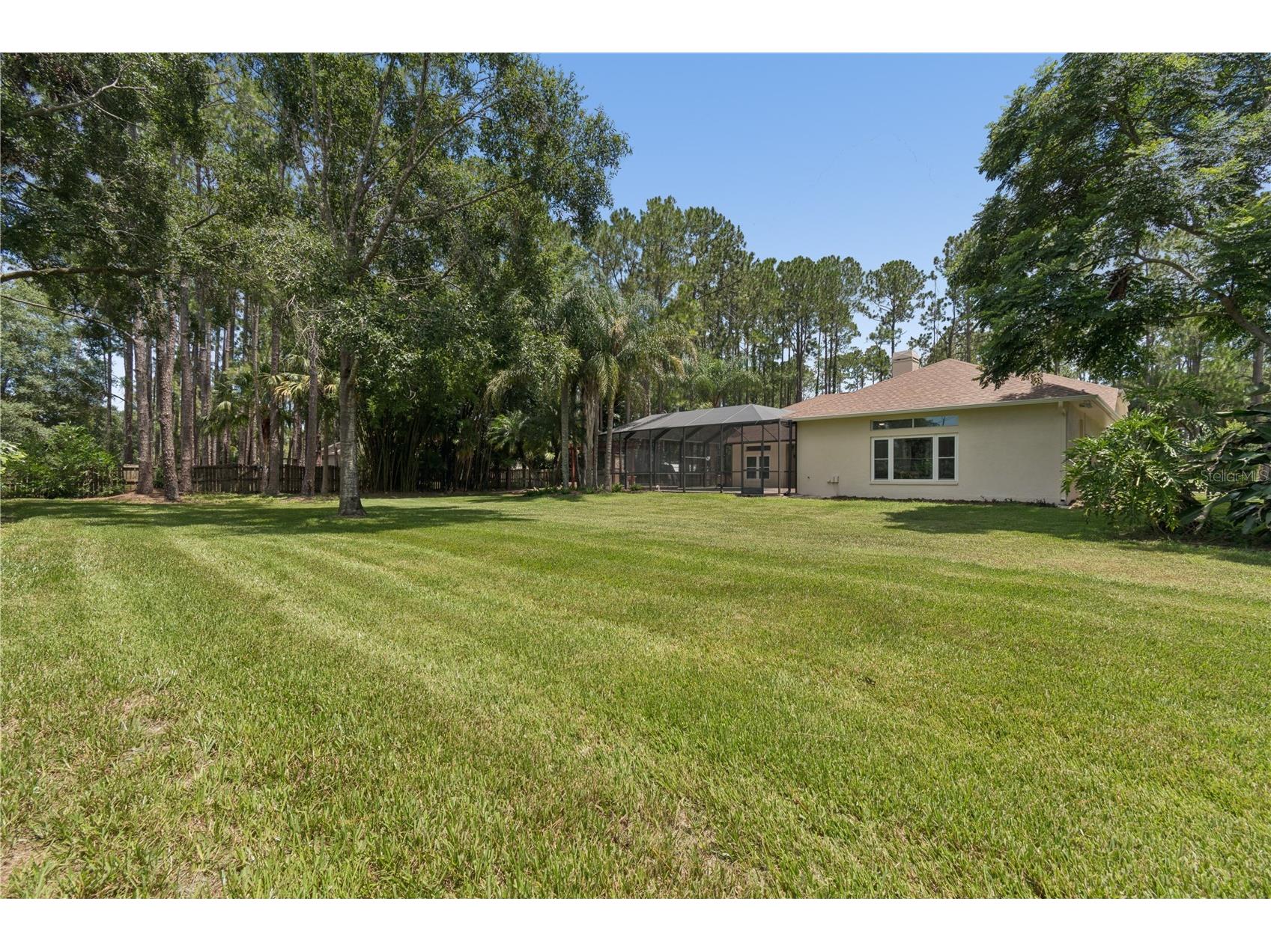 18811 Victor Manuel Drive Lutz FL 33548 TB8532307 image84