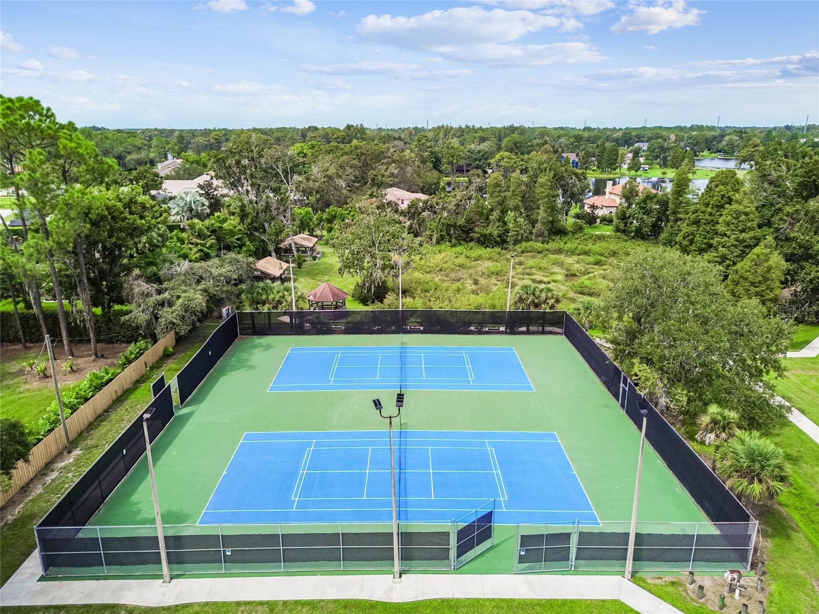 18811 Victor Manuel Drive Lutz FL 33548 TB8532307 image92