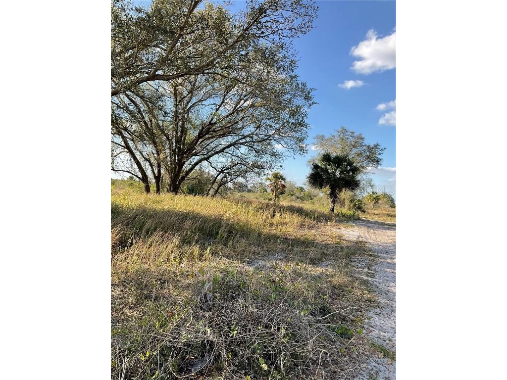 18812 NW 315th Street Okeechobee FL 34972 OK222493 image1