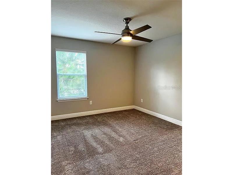 18814 Cornuta Street Lutz FL 33558 TB8512487 image17