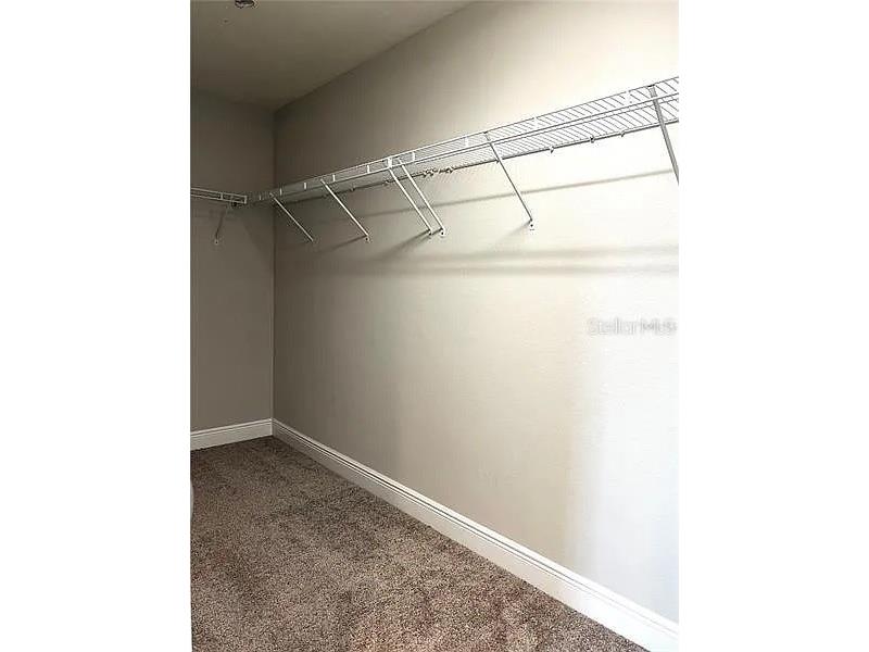 18814 Cornuta Street Lutz FL 33558 TB8512487 image21