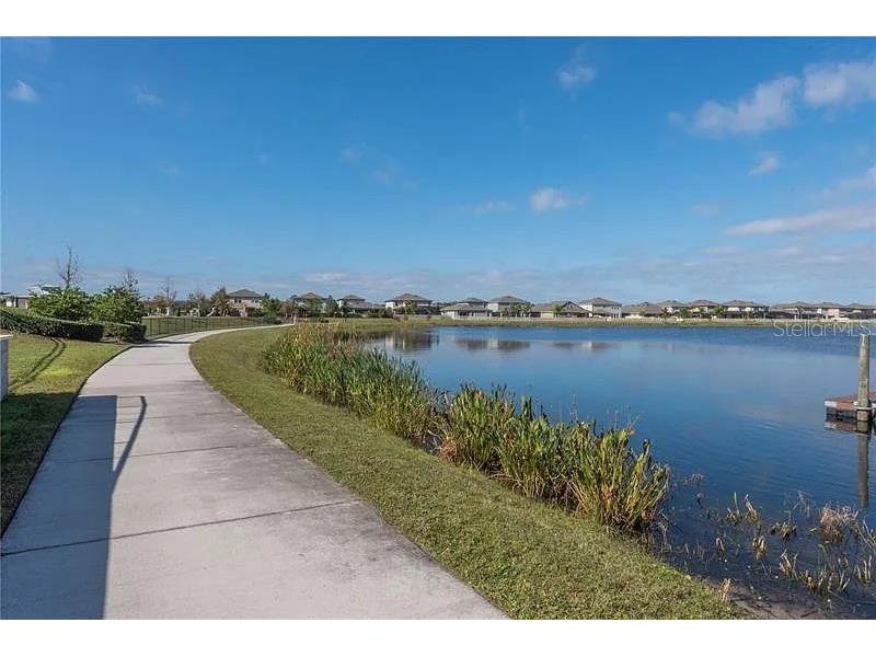 18814 Cornuta Street Lutz FL 33558 TB8512487 image41