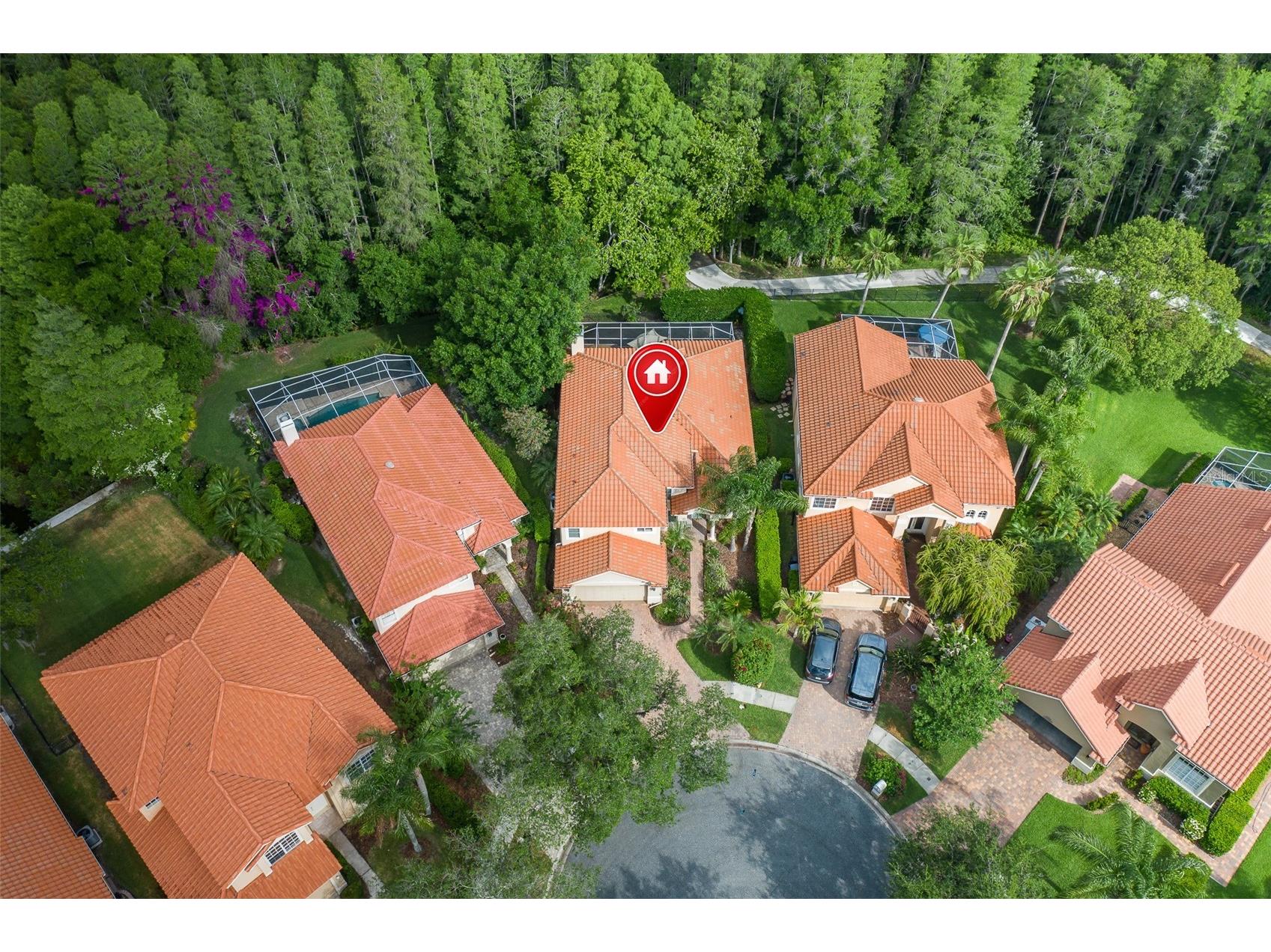 18814 Place Antibes Lutz FL 33558 TB8505394 image4