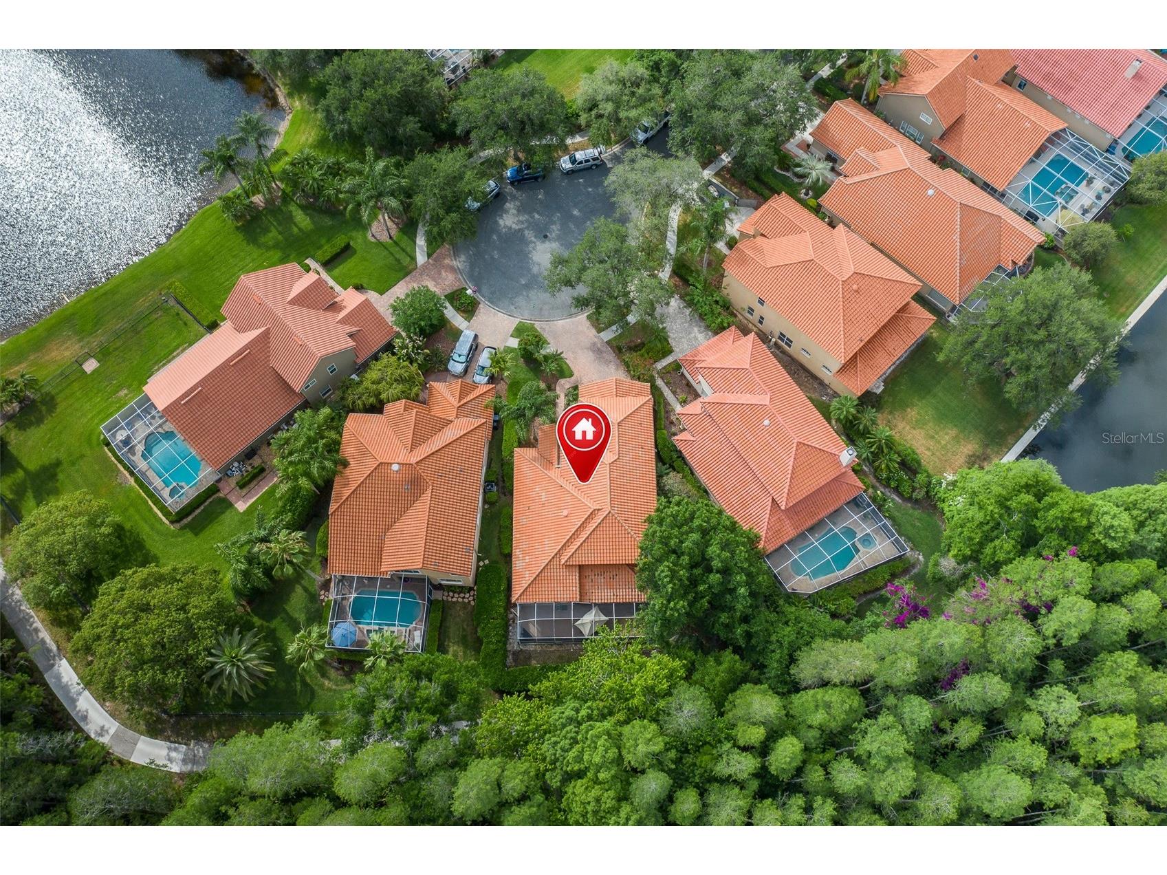18814 Place Antibes Lutz FL 33558 TB8505394 image49