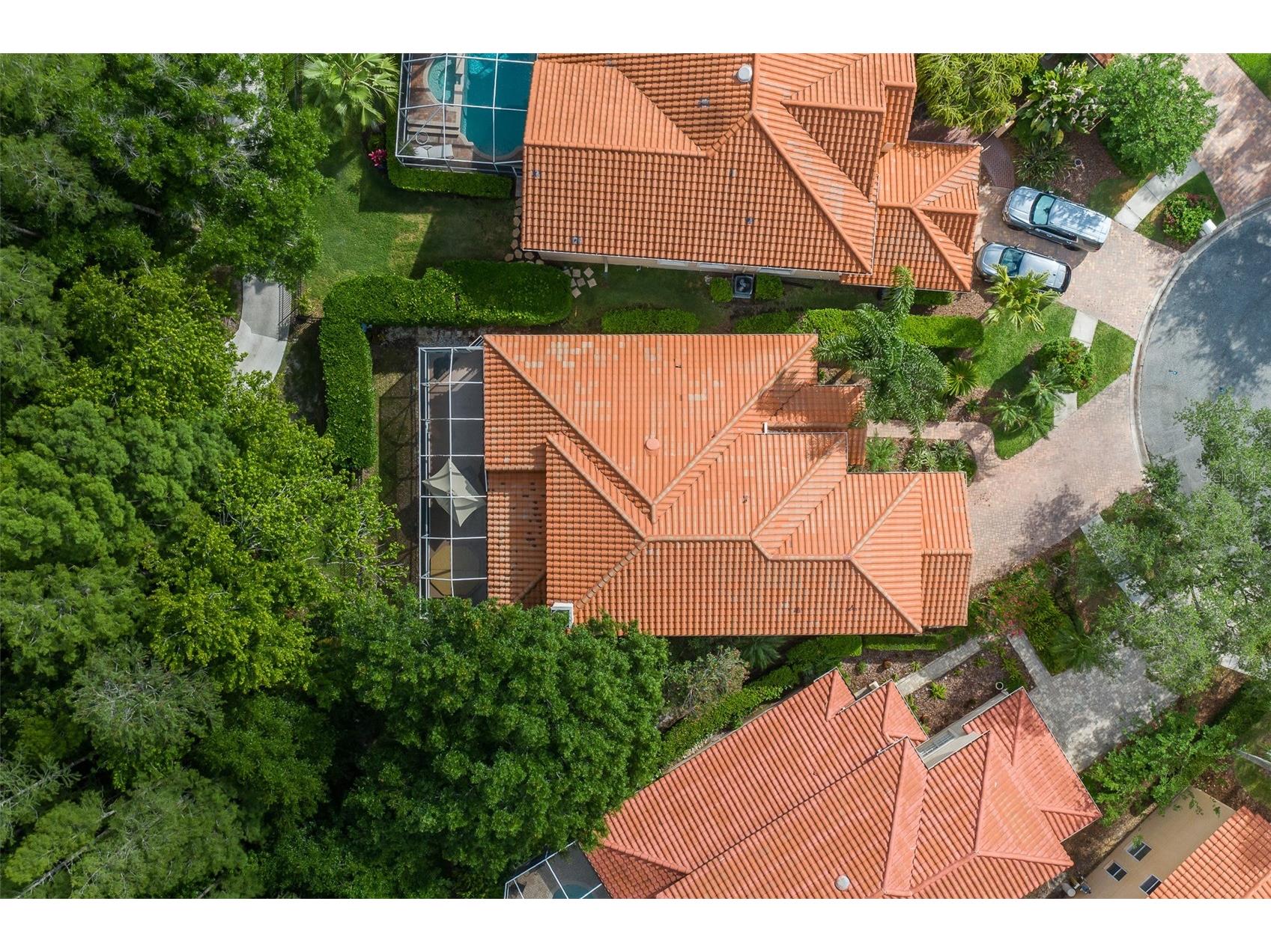 18814 Place Antibes Lutz FL 33558 TB8505394 image52