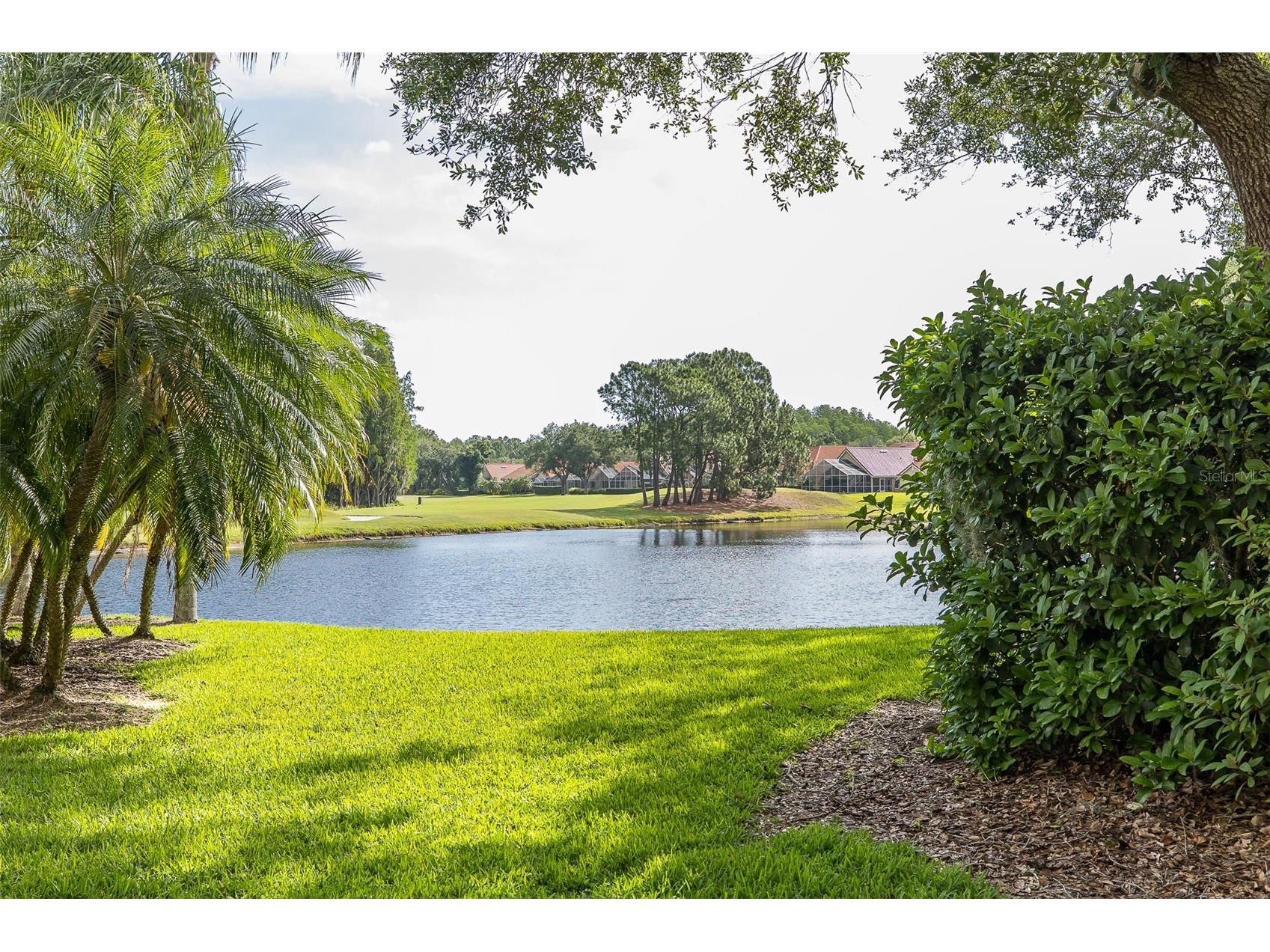 18814 Place Antibes Lutz FL 33558 TB8505394 image58
