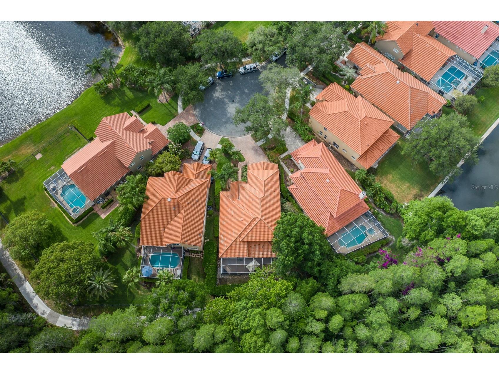 18814 Place Antibes Lutz FL 33558 TB8505394 image59