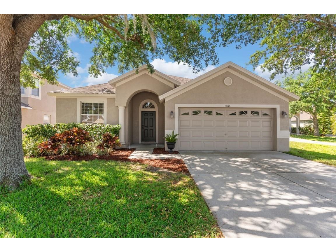 18816 Narimore Drive Land O Lakes FL 34638 TB8378425 image1