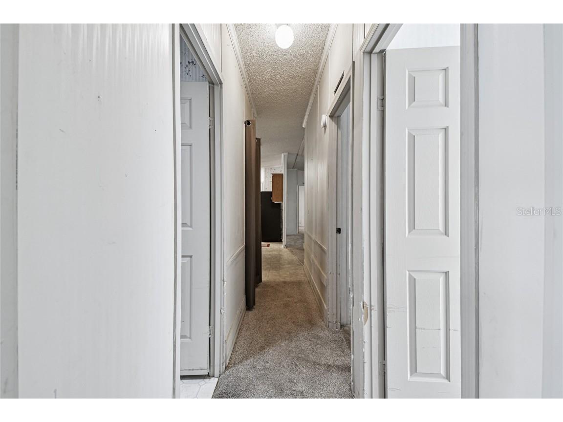 18818 Holly Pine Trail Lithia FL 33547 TB8436398 image34