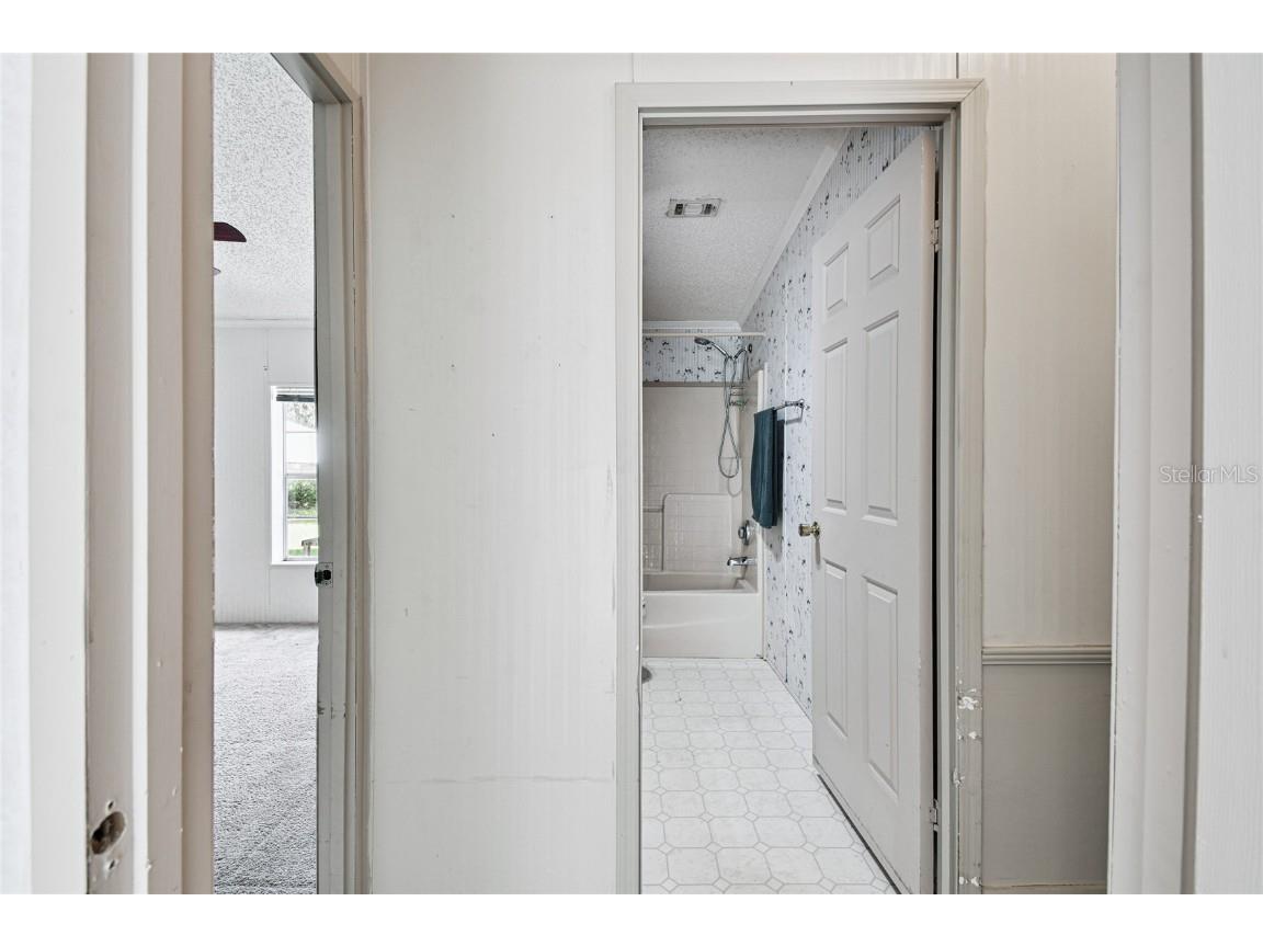 18818 Holly Pine Trail Lithia FL 33547 TB8436398 image38