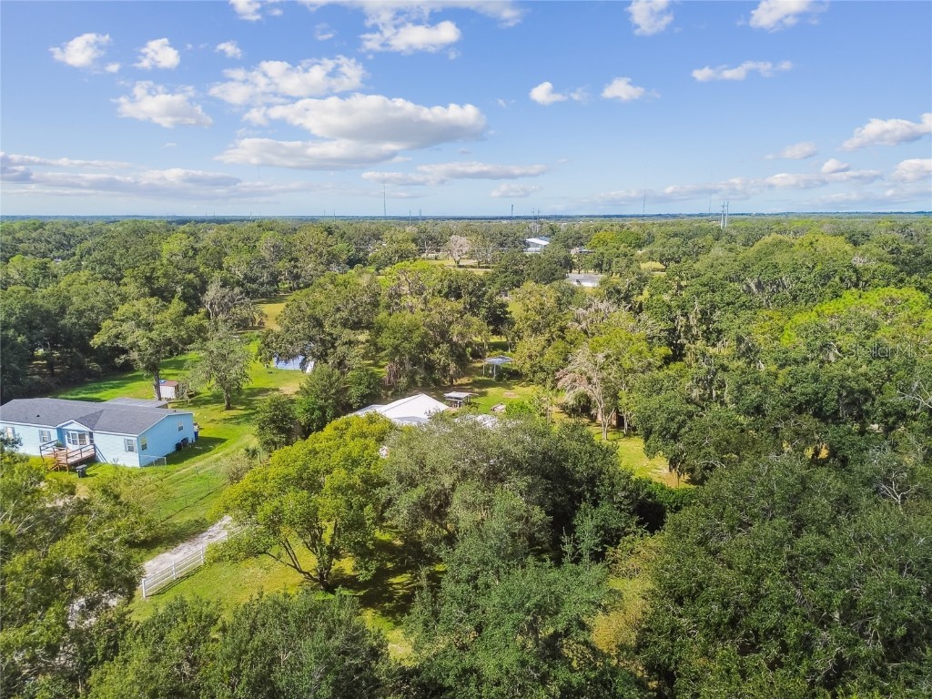 18818 Holly Pine Trail Lithia FL 33547 TB8436398 image73