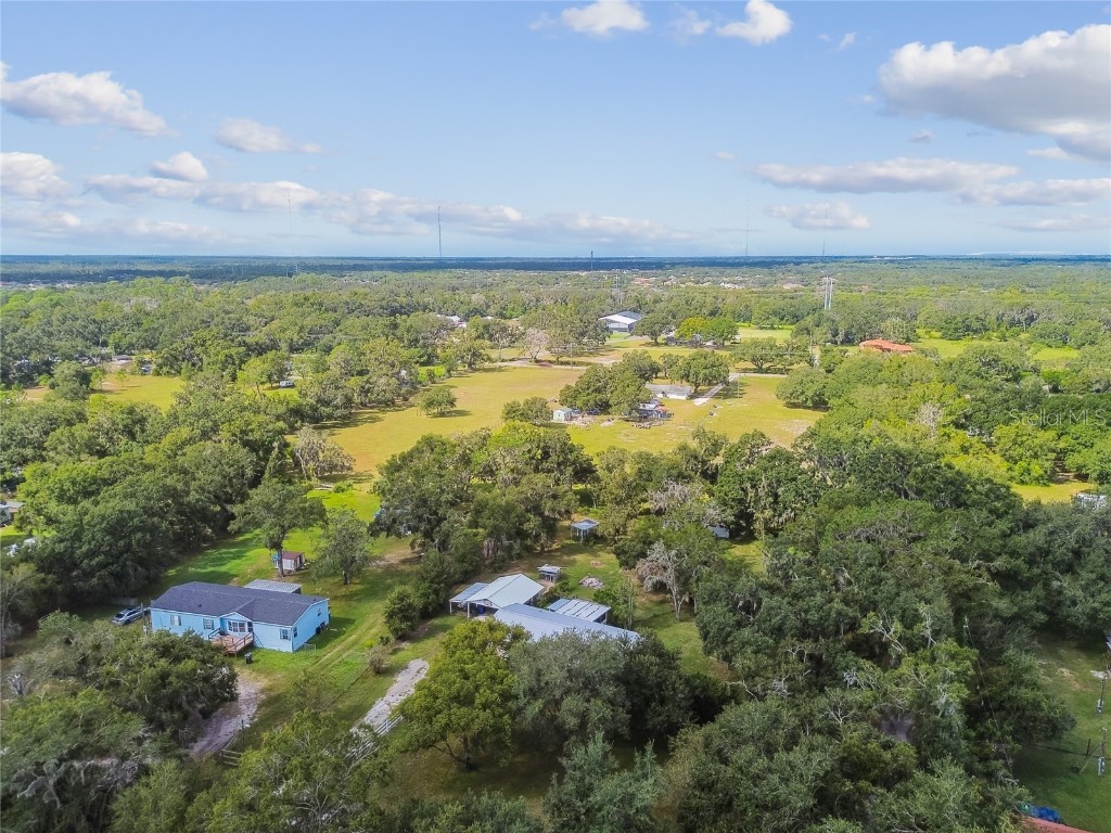 18818 Holly Pine Trail Lithia FL 33547 TB8436398 image74