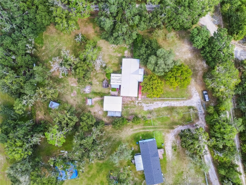 18818 Holly Pine Trail Lithia FL 33547 TB8436398 image78