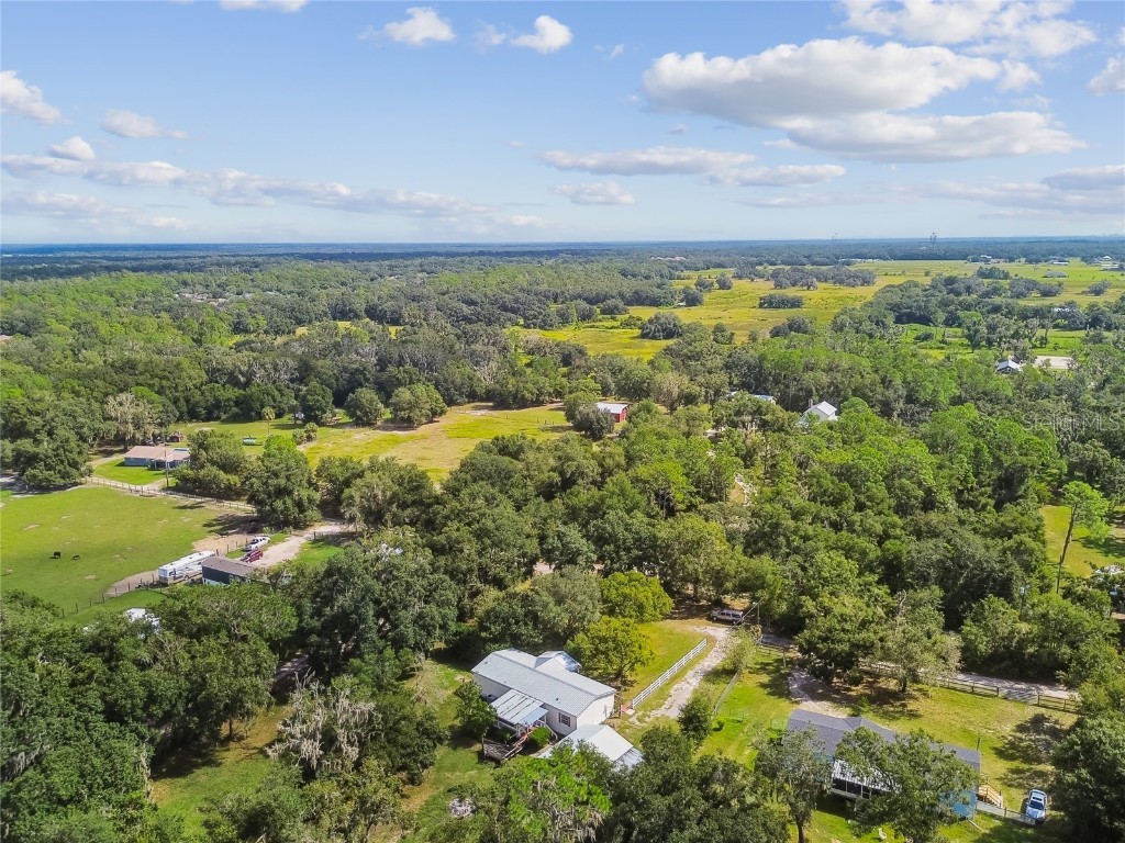 18818 Holly Pine Trail Lithia FL 33547 TB8436398 image84