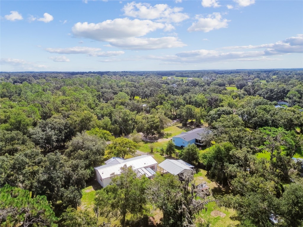 18818 Holly Pine Trail Lithia FL 33547 TB8436398 image87