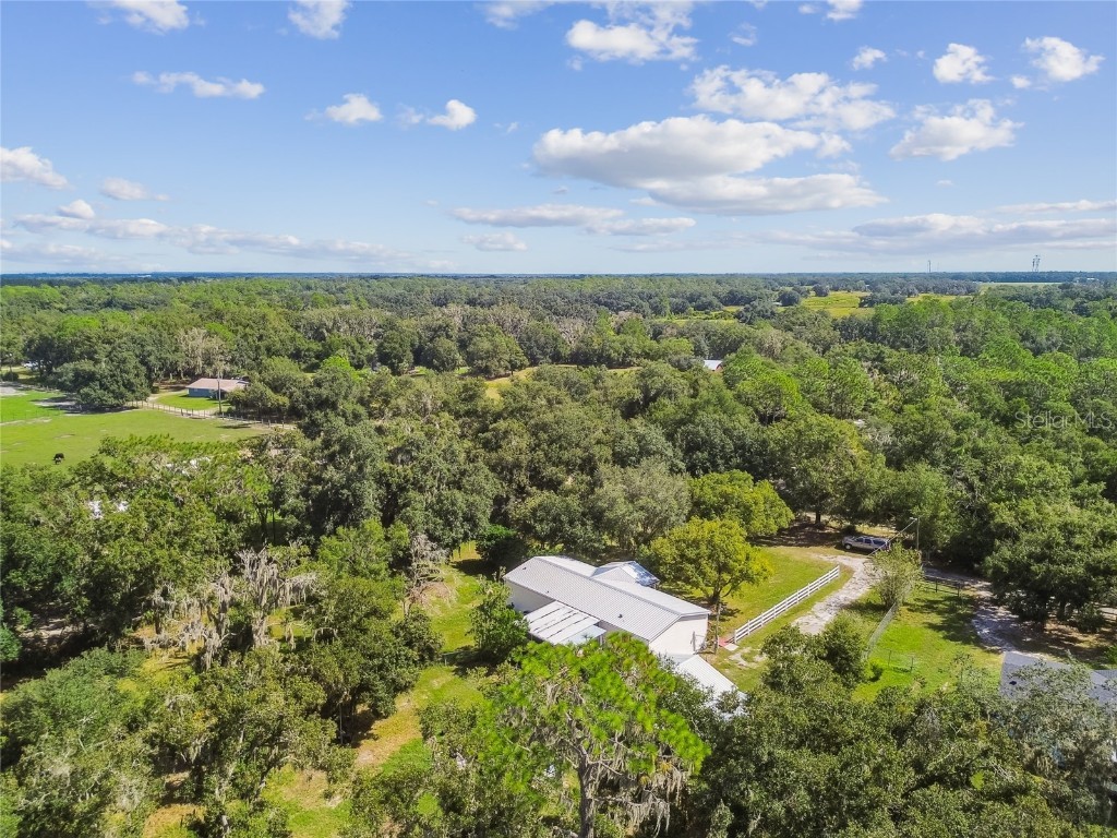 18818 Holly Pine Trail Lithia FL 33547 TB8436398 image89