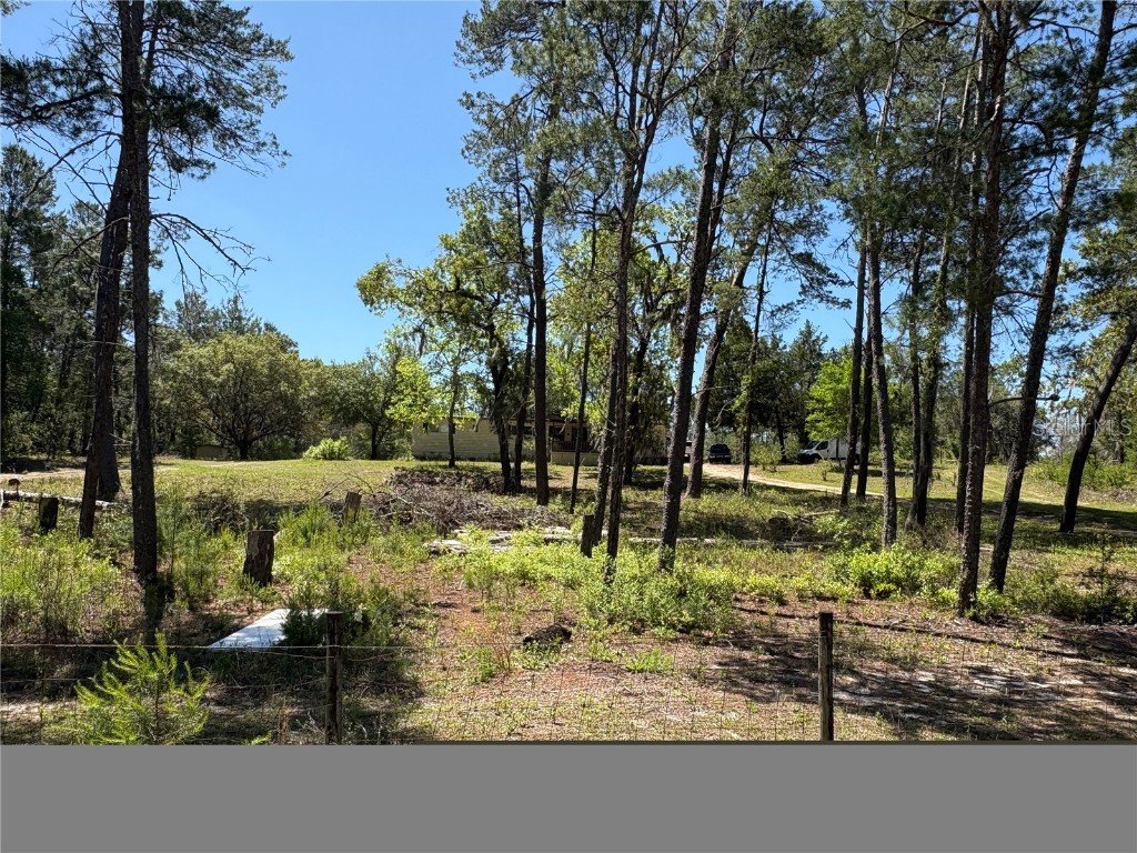 1882 Bellamy Road Florahome FL 32140 TB8373883 image3