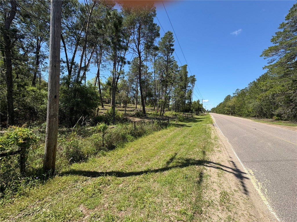 1882 Bellamy Road Florahome FL 32140 TB8373883 image4