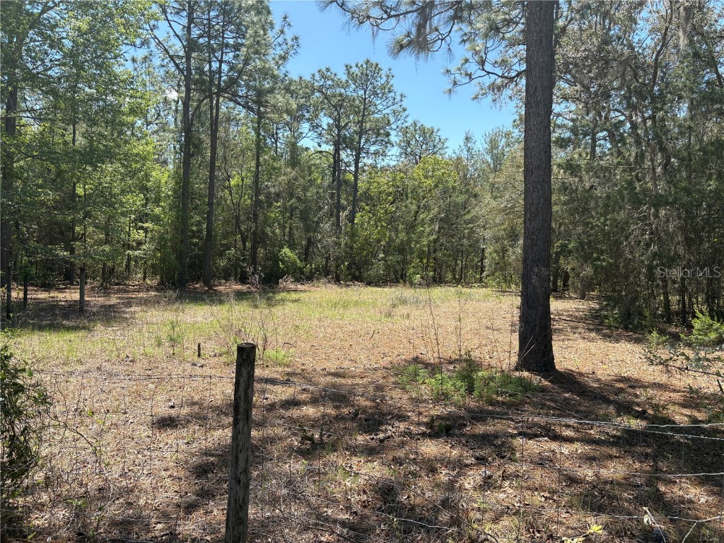 1882 Bellamy Road Florahome FL 32140 TB8373883 image41