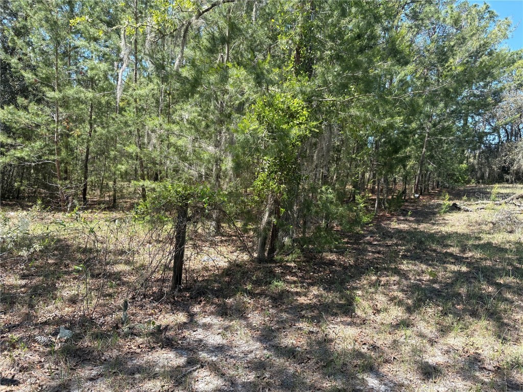 1882 Bellamy Road Florahome FL 32140 TB8373883 image42