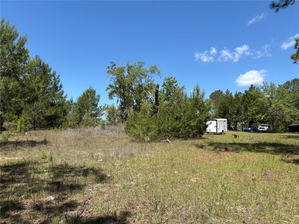 1882 Bellamy Road Florahome FL 32140 TB8373883 image43