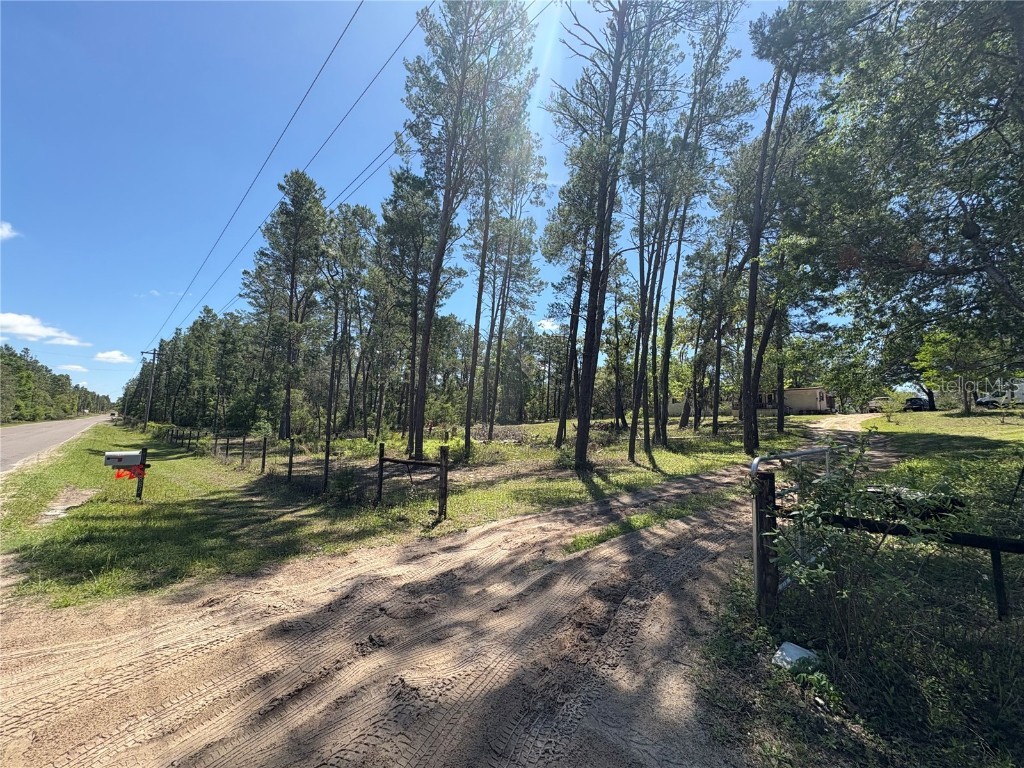 1882 Bellamy Road Florahome FL 32140 TB8373883 image5