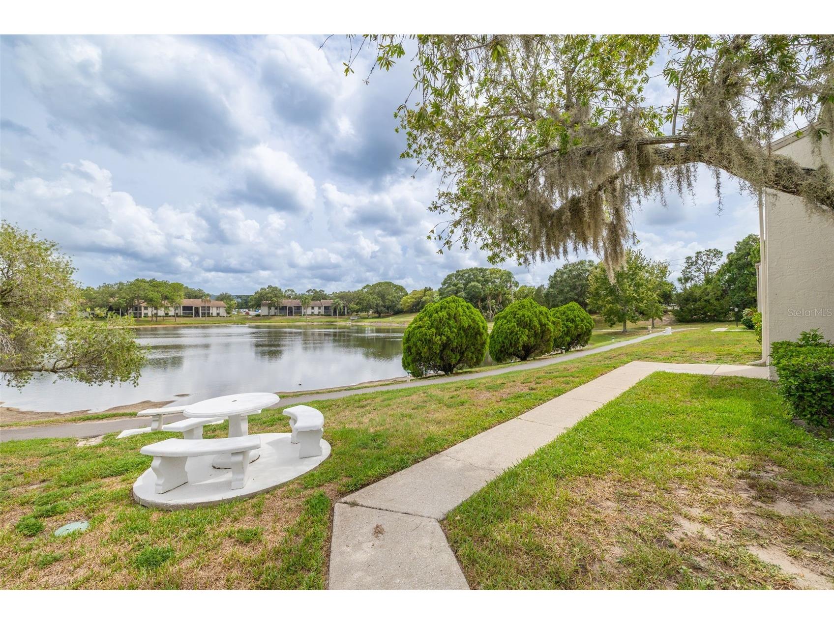 1882 Pine Ridge Way W #C2 Palm Harbor FL 34684 TB8528807 image24