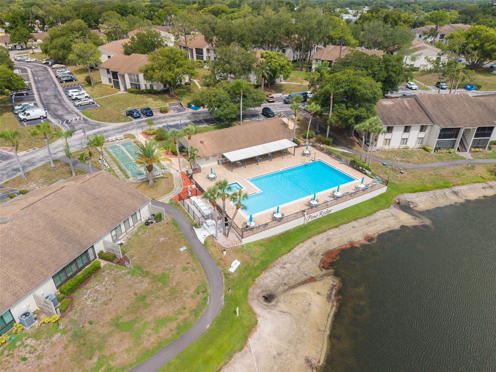 1882 Pine Ridge Way W #C2 Palm Harbor FL 34684 TB8528807 image26