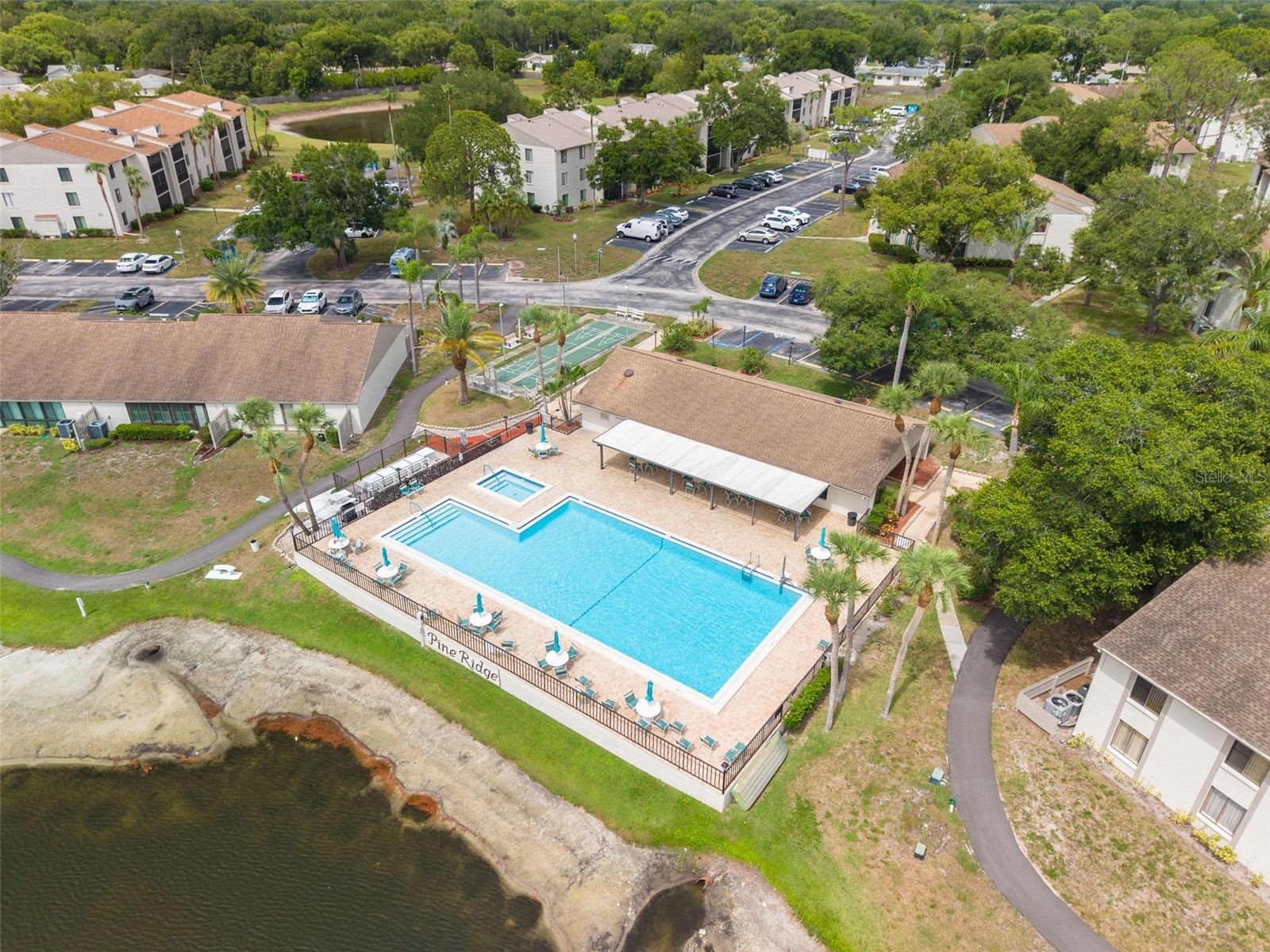 1882 Pine Ridge Way W #C2 Palm Harbor FL 34684 TB8528807 image27