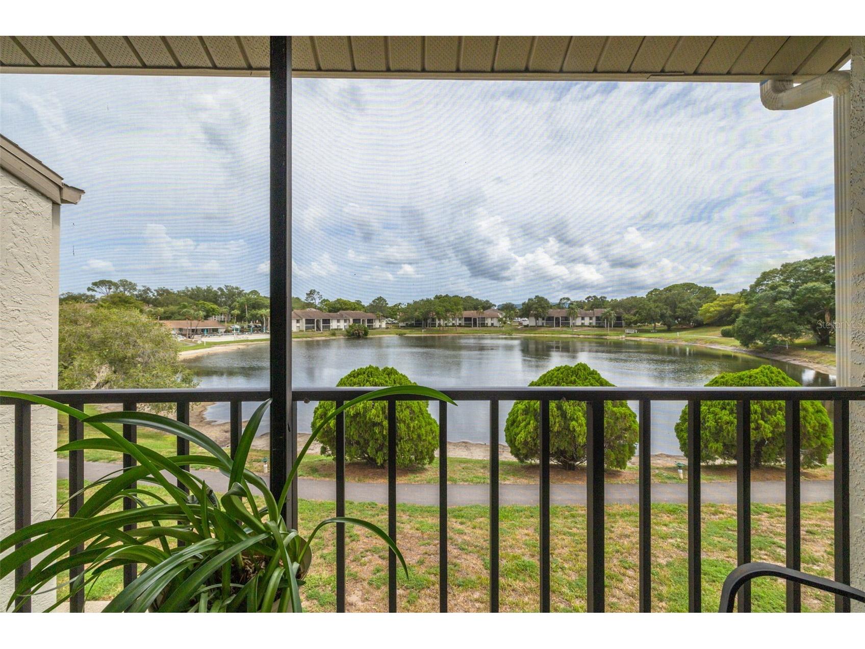 1882 Pine Ridge Way W #C2 Palm Harbor FL 34684 TB8528807 image9