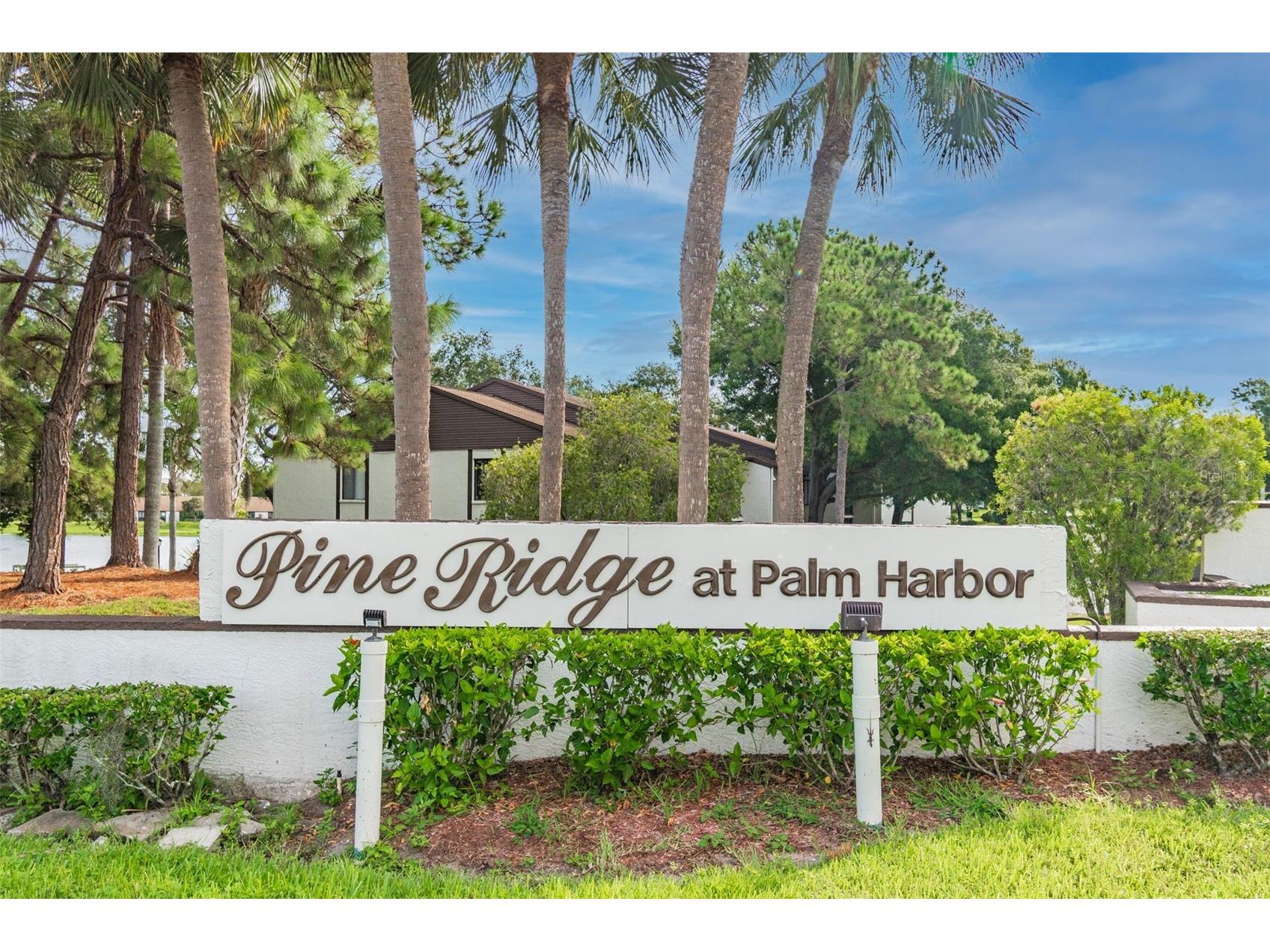 1882 Pine Ridge Way W #E1 Palm Harbor FL 34684 TB8463888 image18