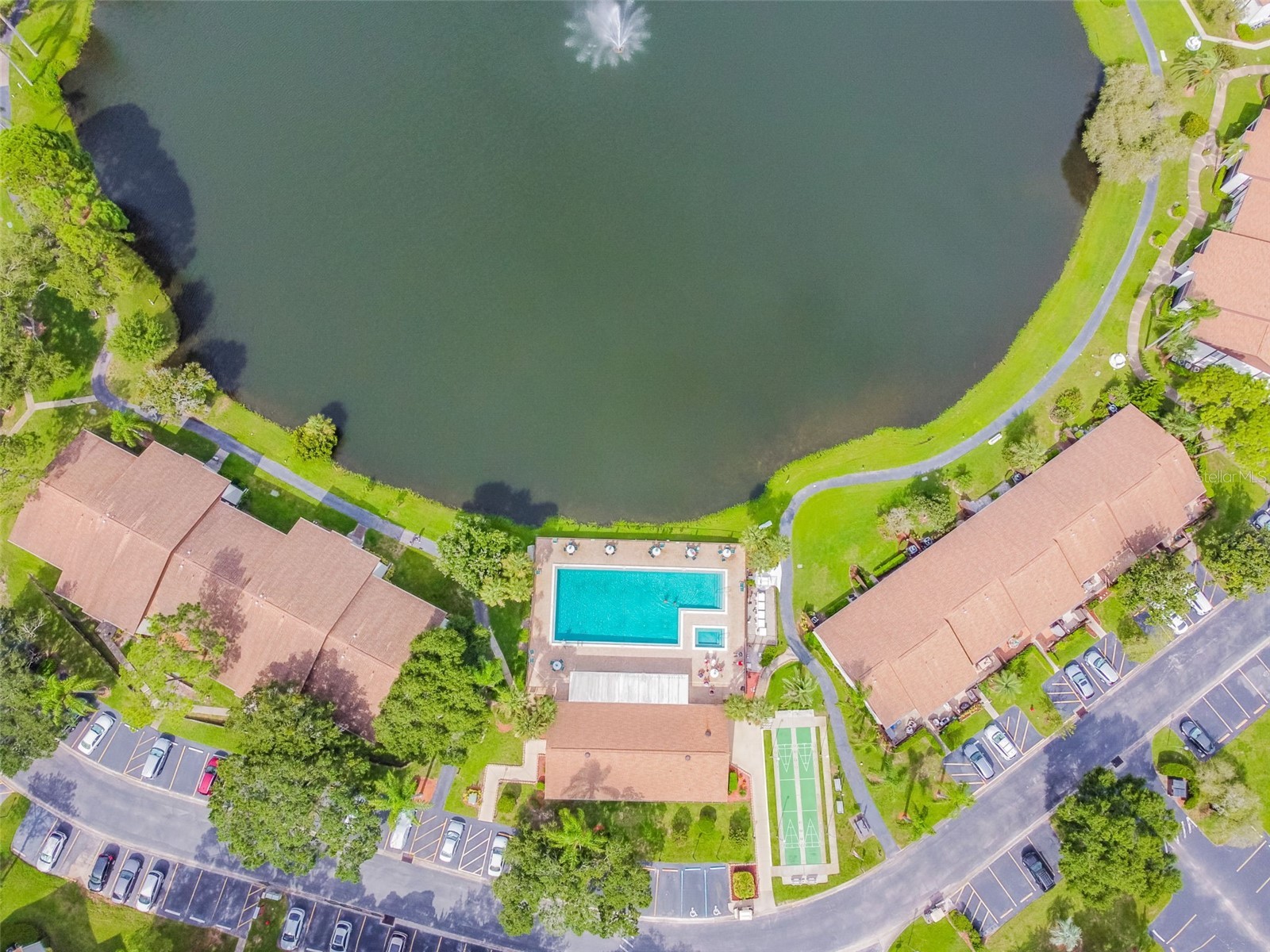 1882 Pine Ridge Way W #E1 Palm Harbor FL 34684 TB8463888 image20