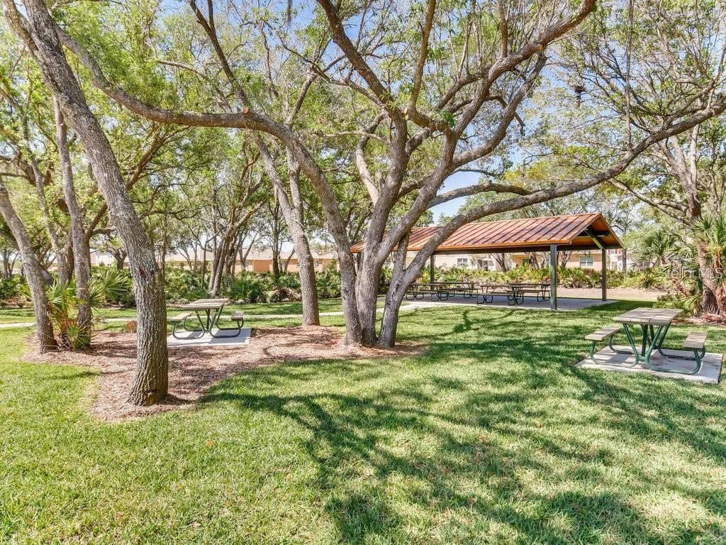 1882 Red Canyon Drive Kissimmee FL 34744 S5137530 image19