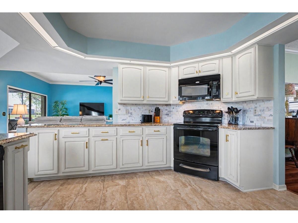 1882 Royal Lytham Court Port Orange FL 32128 GC538601 image46