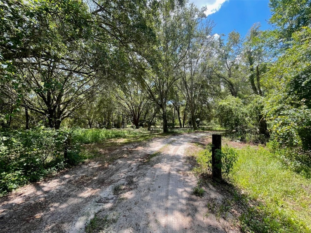 18820 Center Street Ferndale FL 34729 G5072204 image1