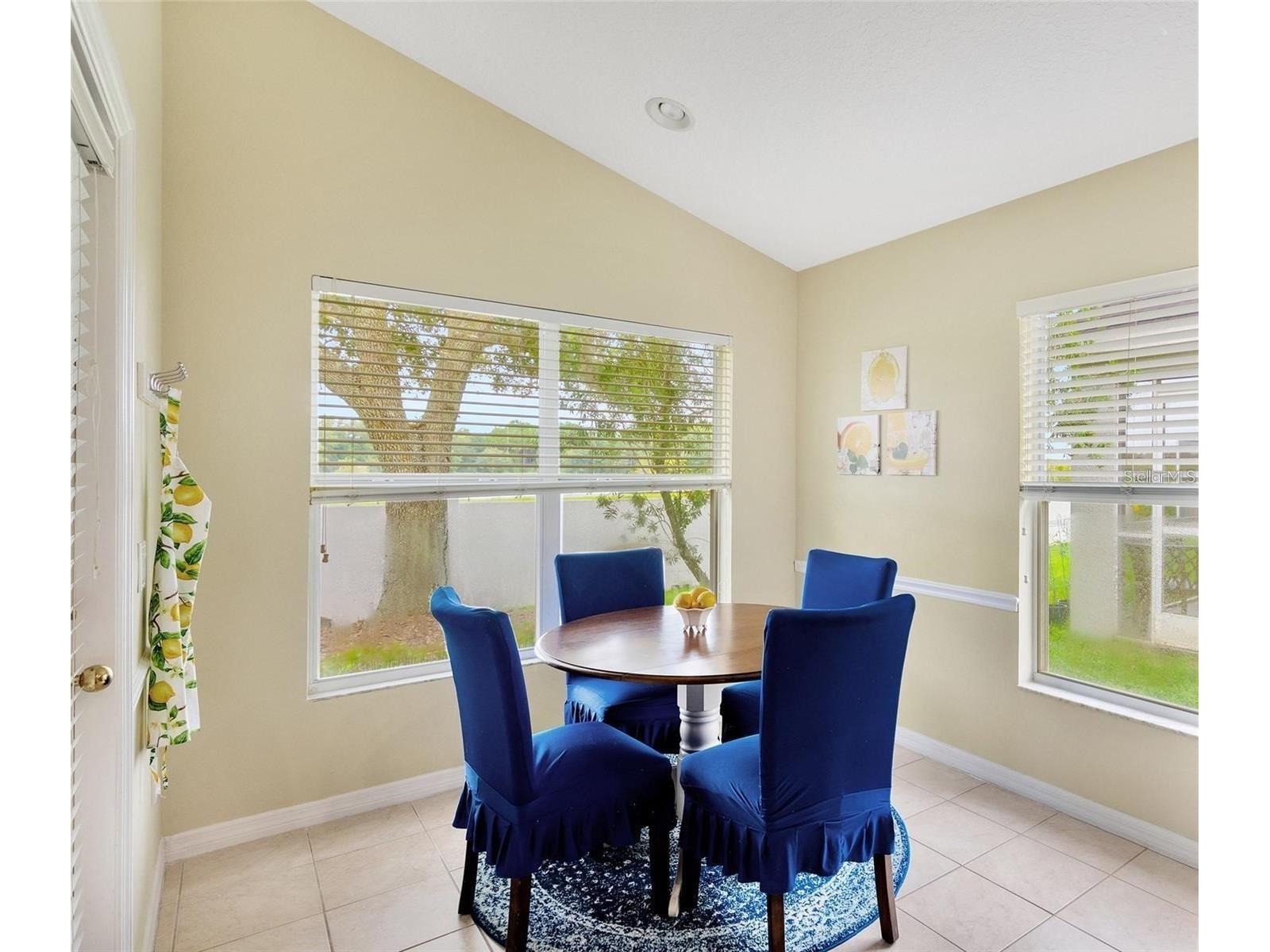 18821 Maisons Drive Lutz FL 33558 TB8483442 image11