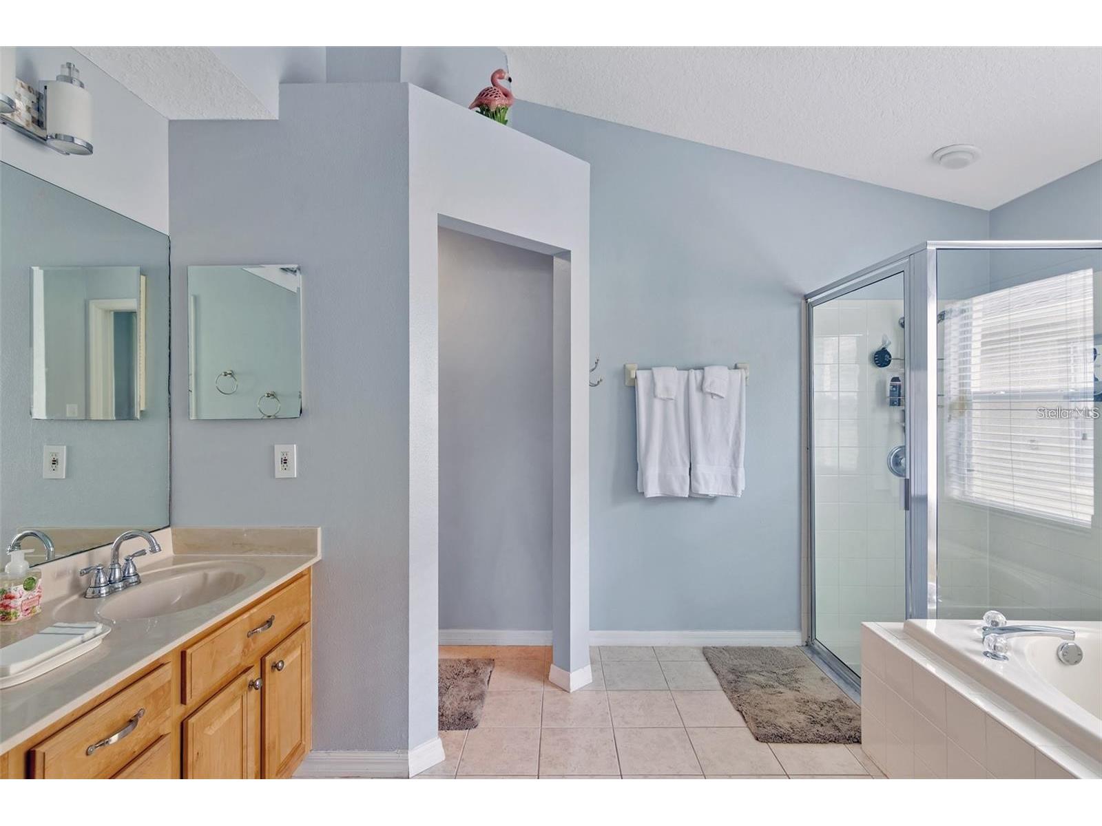 18821 Maisons Drive Lutz FL 33558 TB8483442 image15