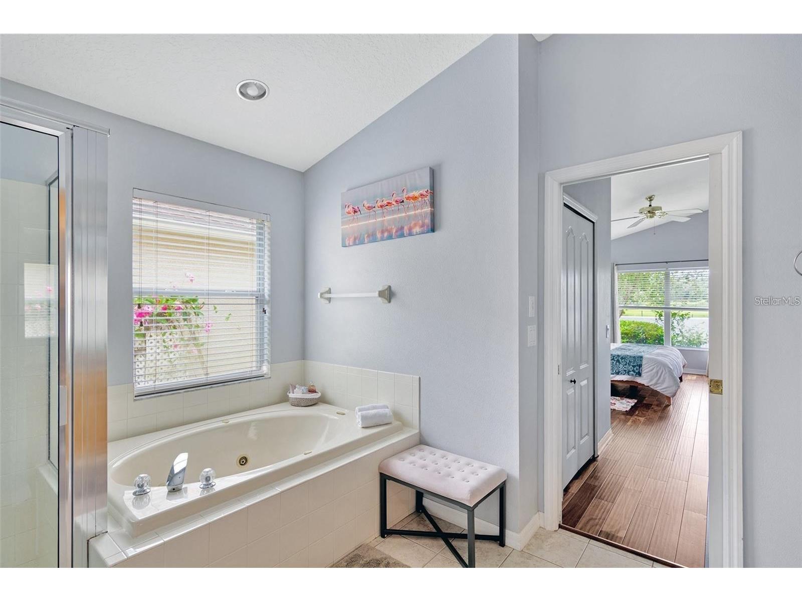 18821 Maisons Drive Lutz FL 33558 TB8483442 image16