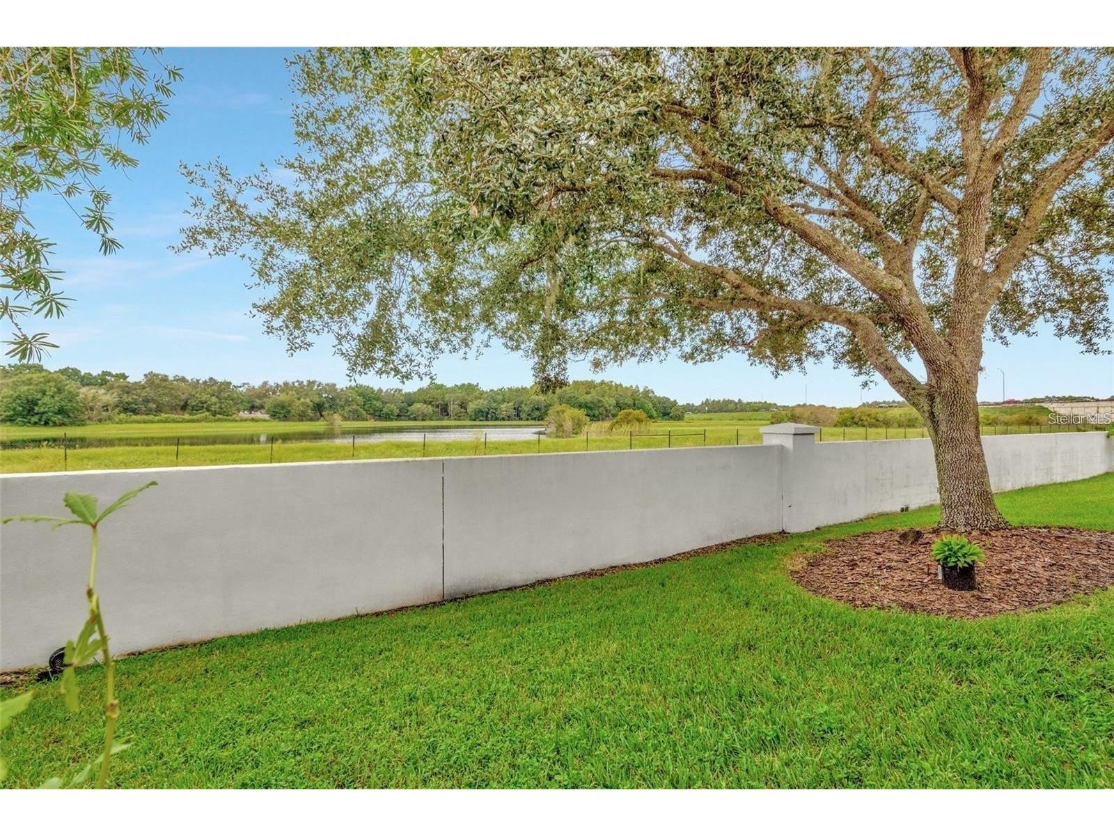 18821 Maisons Drive Lutz FL 33558 TB8483442 image24