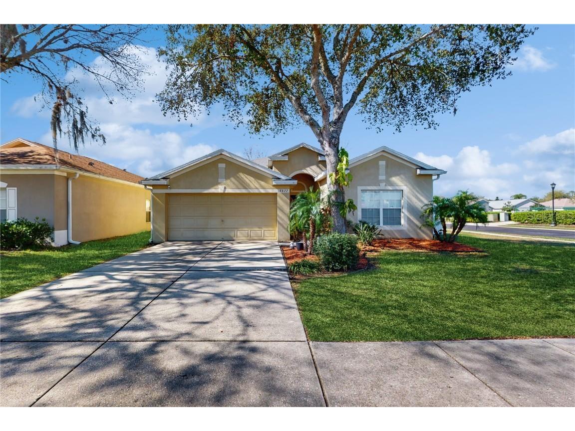 18822 Quarry Badger Road Land O Lakes FL 34638 TB8352688 image1