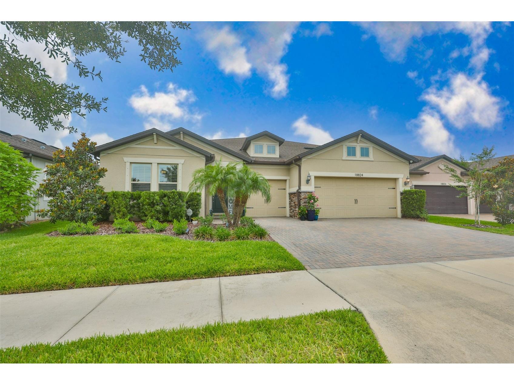 18824 Alder Glen Drive Lutz FL 33558 TB8513958 image1