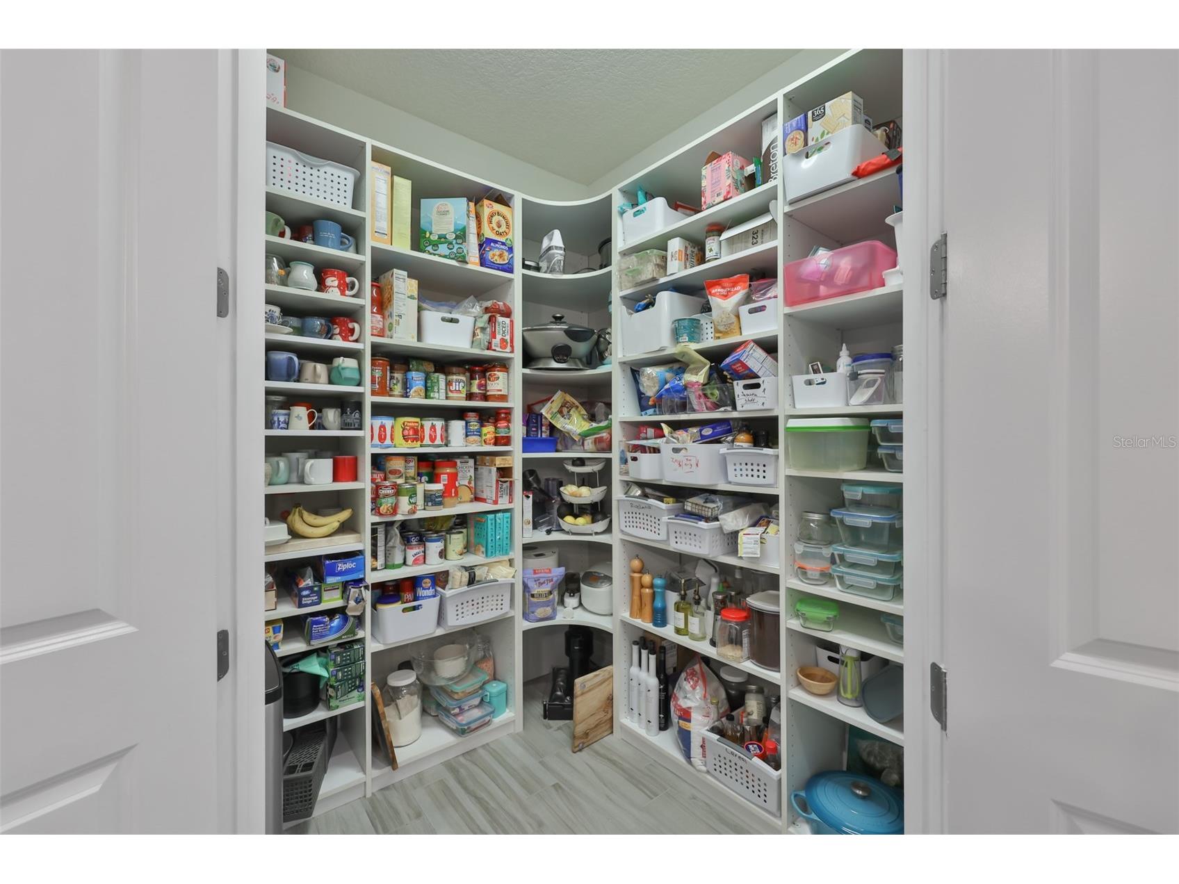 18824 Alder Glen Drive Lutz FL 33558 TB8513958 image34