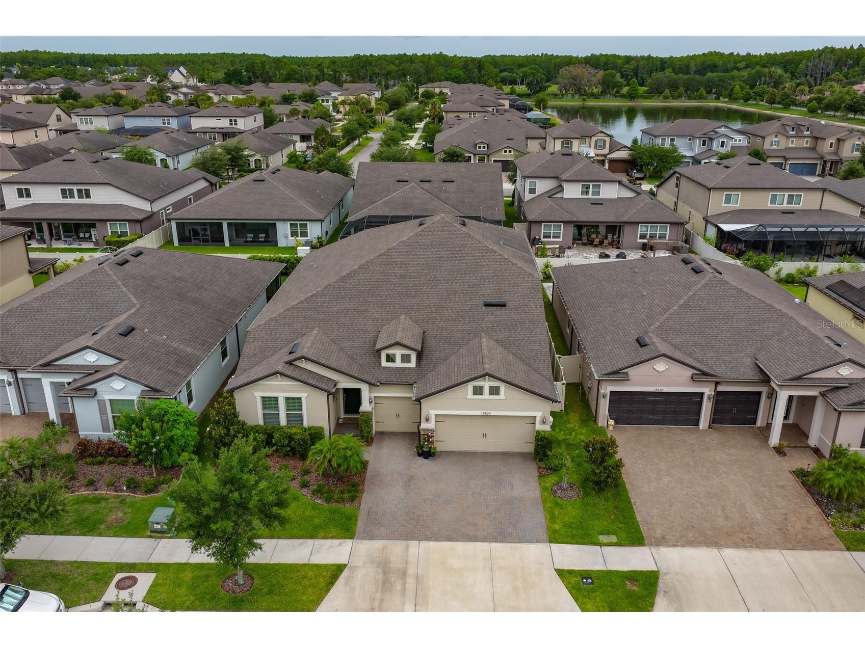 18824 Alder Glen Drive Lutz FL 33558 TB8513958 image59