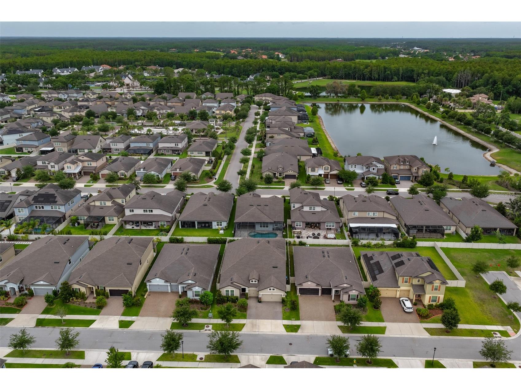 18824 Alder Glen Drive Lutz FL 33558 TB8513958 image60