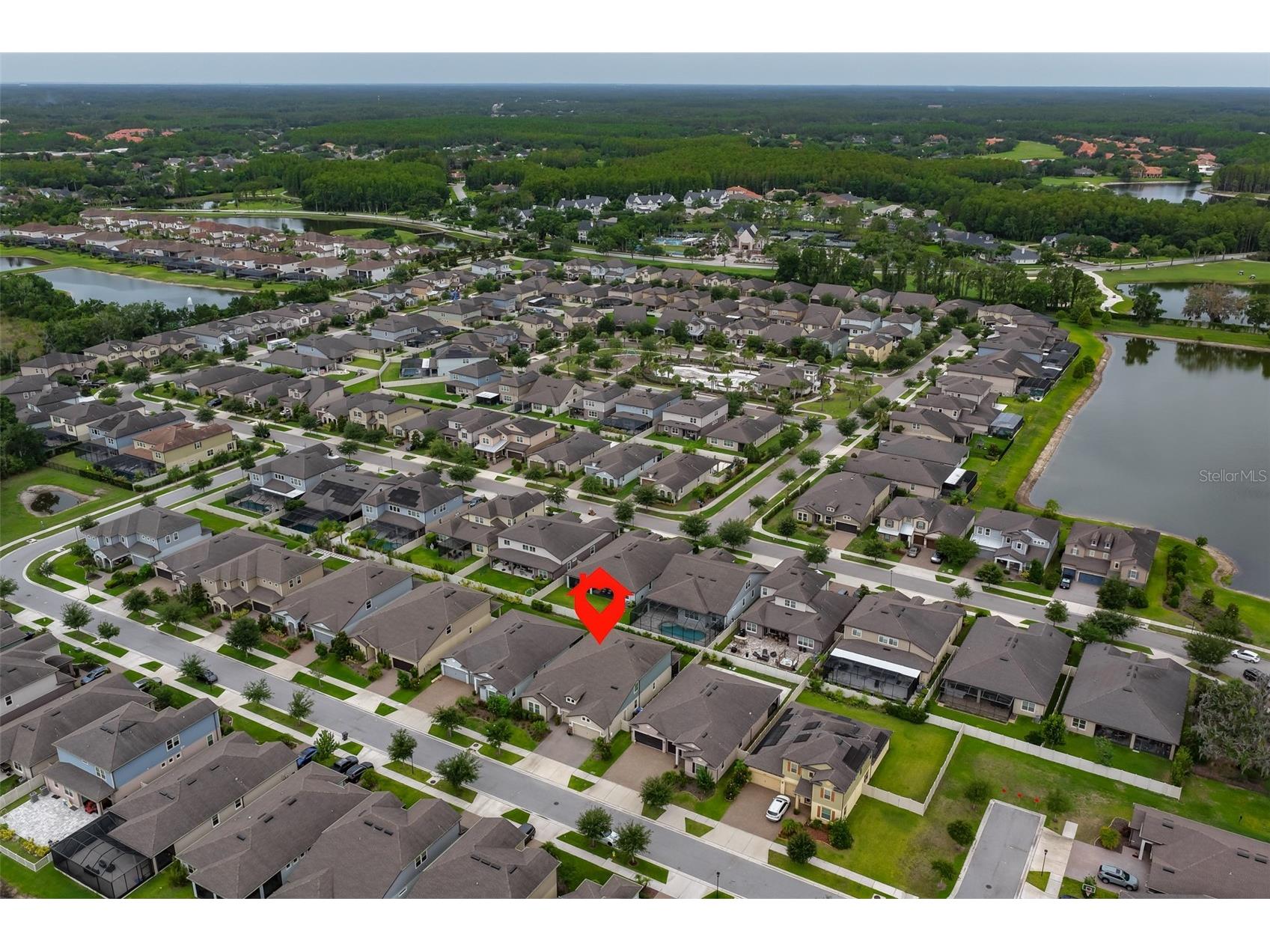 18824 Alder Glen Drive Lutz FL 33558 TB8513958 image61