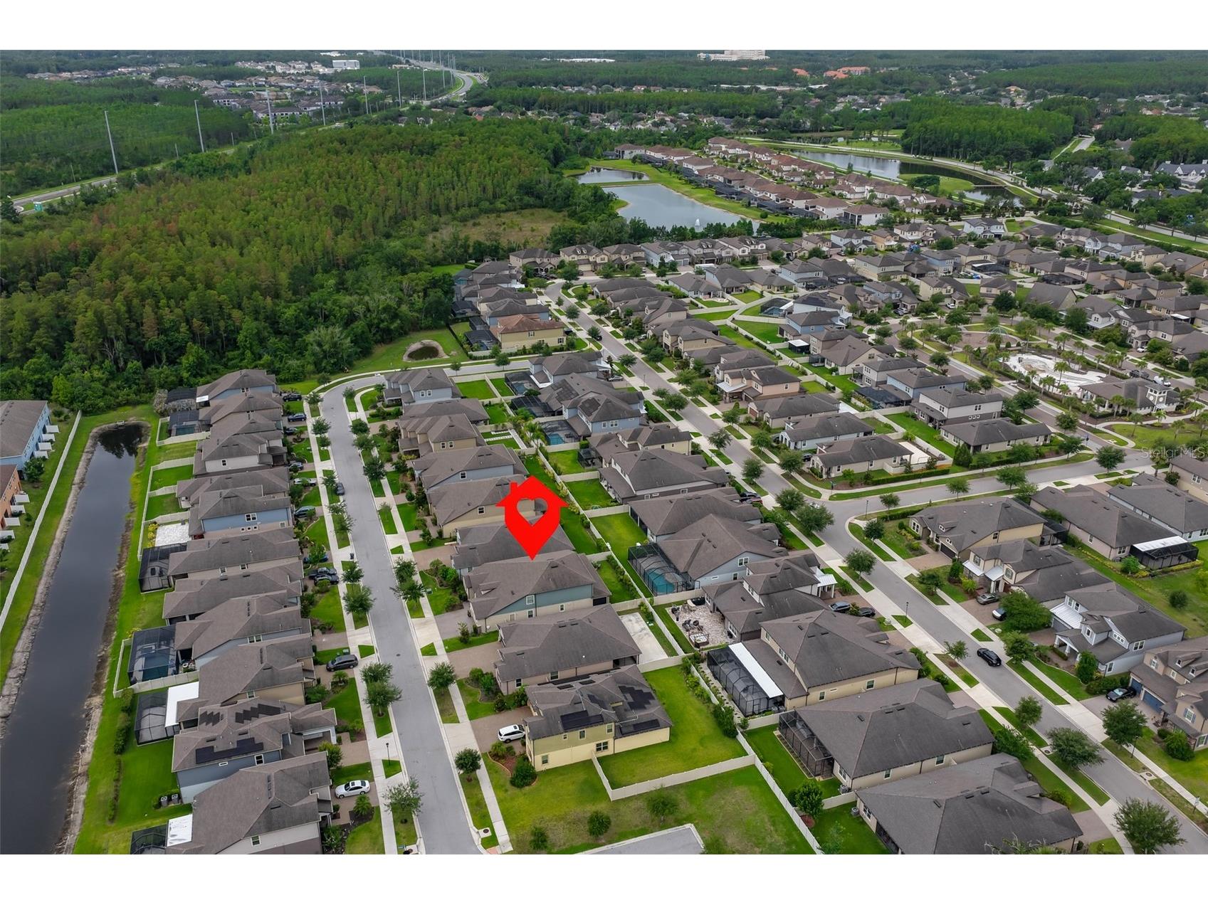 18824 Alder Glen Drive Lutz FL 33558 TB8513958 image62