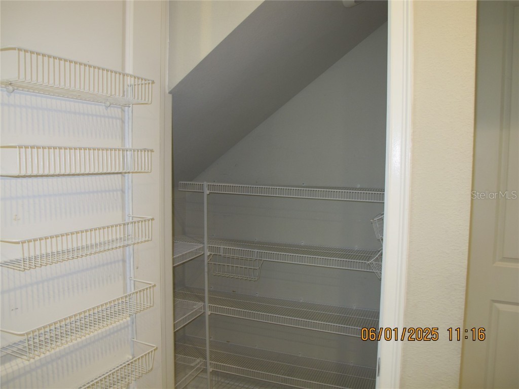 18824 Noble Caspian Drive Lutz FL 33558 TB8394424 image10