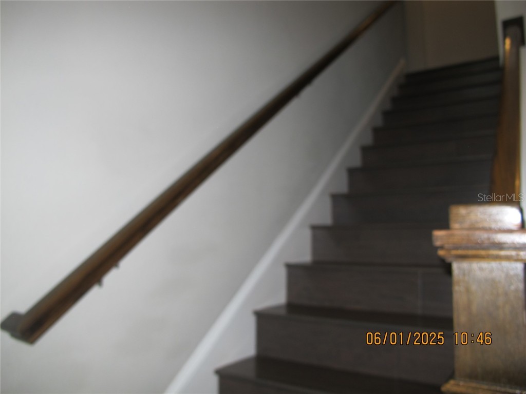 18824 Noble Caspian Drive Lutz FL 33558 TB8394424 image19