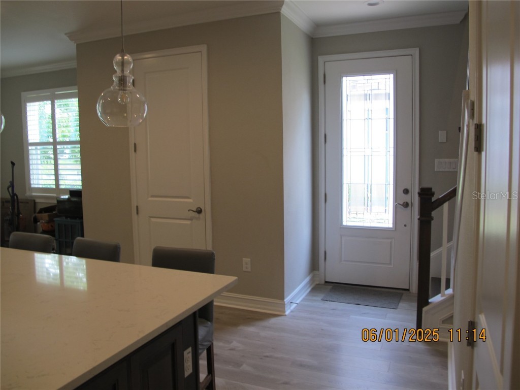 18824 Noble Caspian Drive Lutz FL 33558 TB8394424 image2