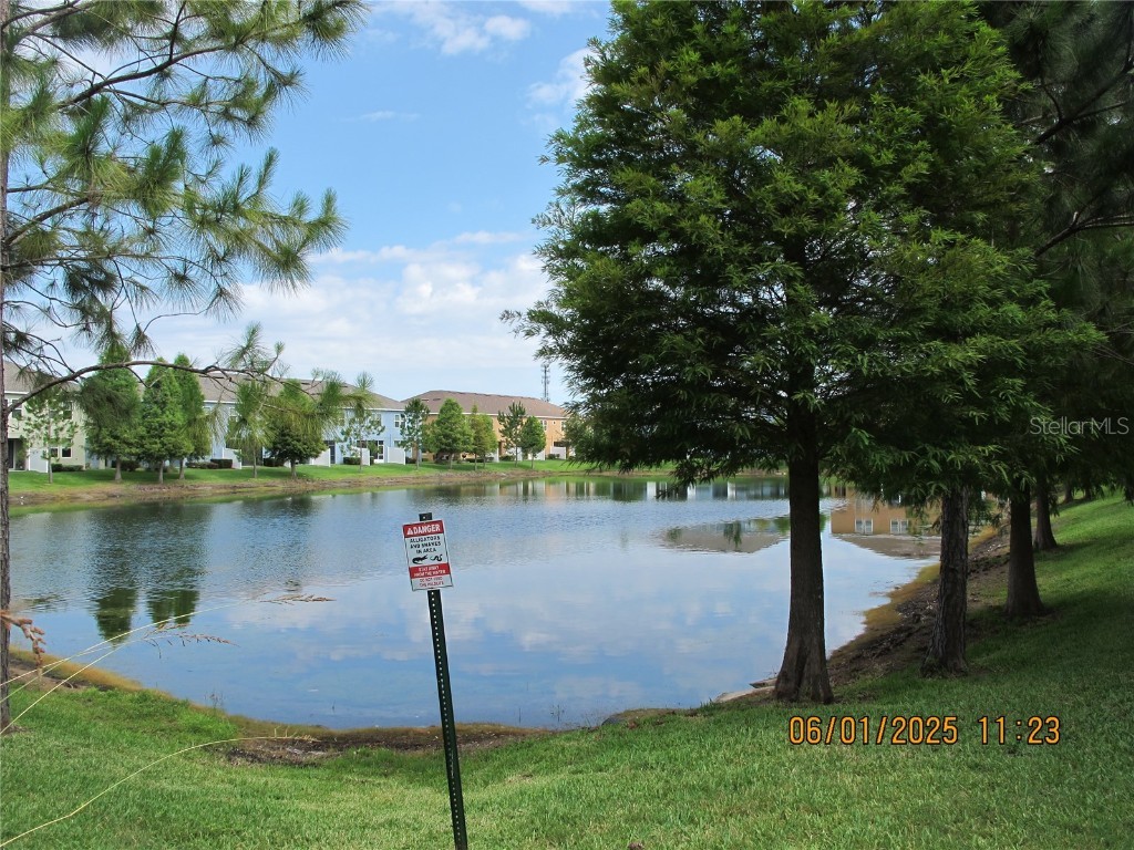 18824 Noble Caspian Drive Lutz FL 33558 TB8394424 image27